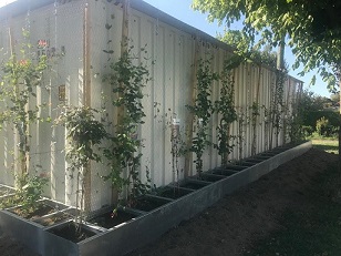maison projet réalisée avec des containers
