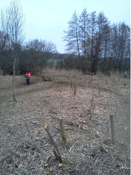 Entretien d'espaces verts