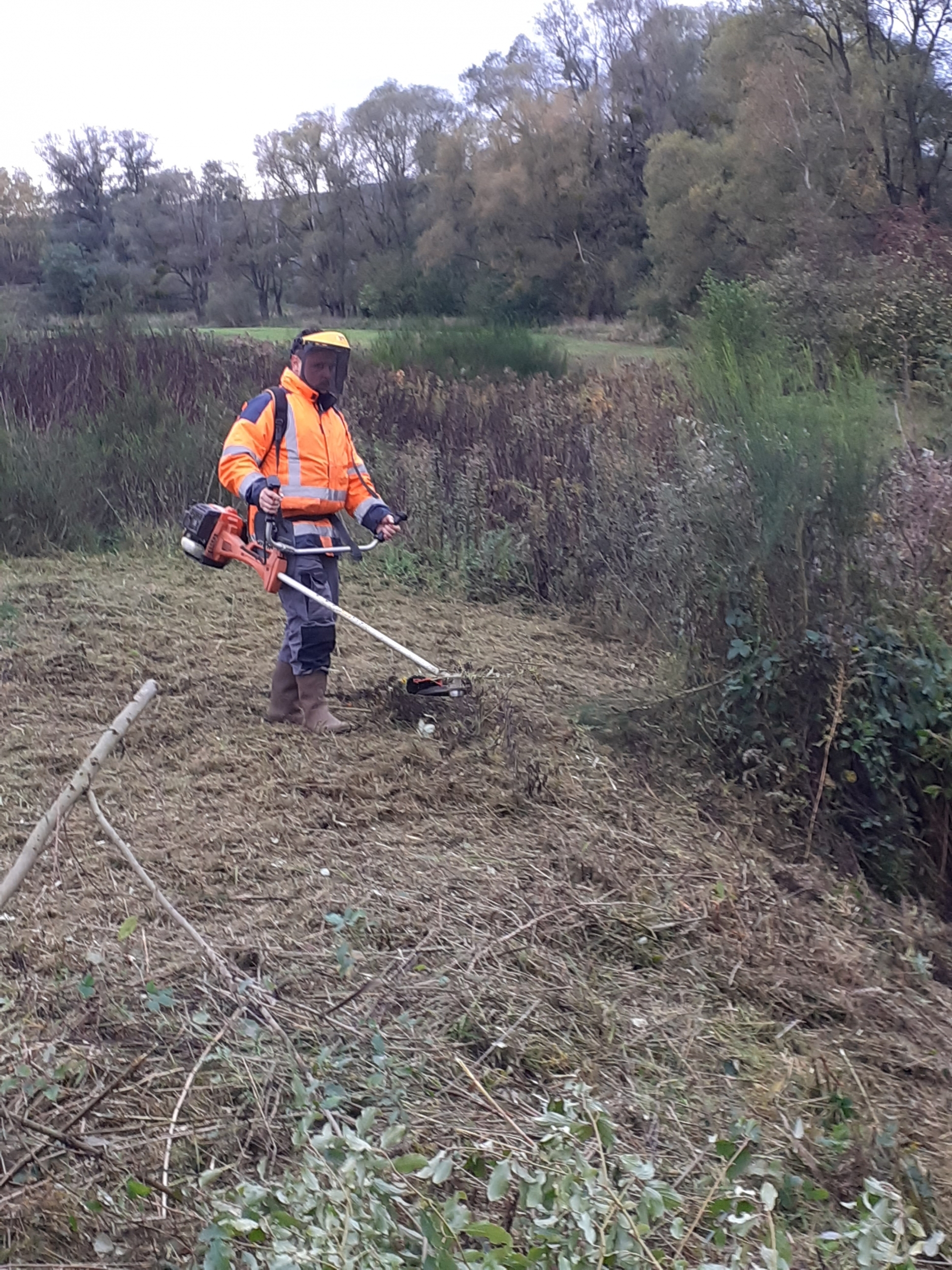 Débroussaillage 