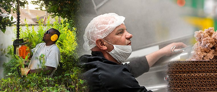 première personne entretenant un espace vert et deuxième personne emballant des gâteaux industriels